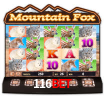 116bet