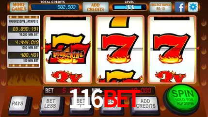 116bet - Winners Celebration